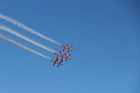 IMG 2696-MOTION