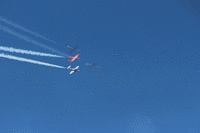 IMG 2709-MOTION