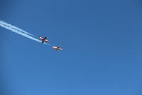 IMG 2719