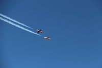 IMG 2720