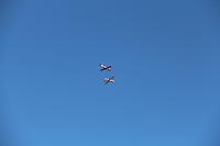 IMG 2722