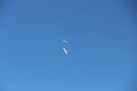 IMG 2723