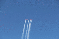 IMG 2727-MOTION