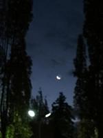IMG 2105