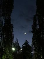 IMG 2106